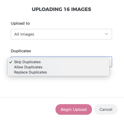 image-5.png