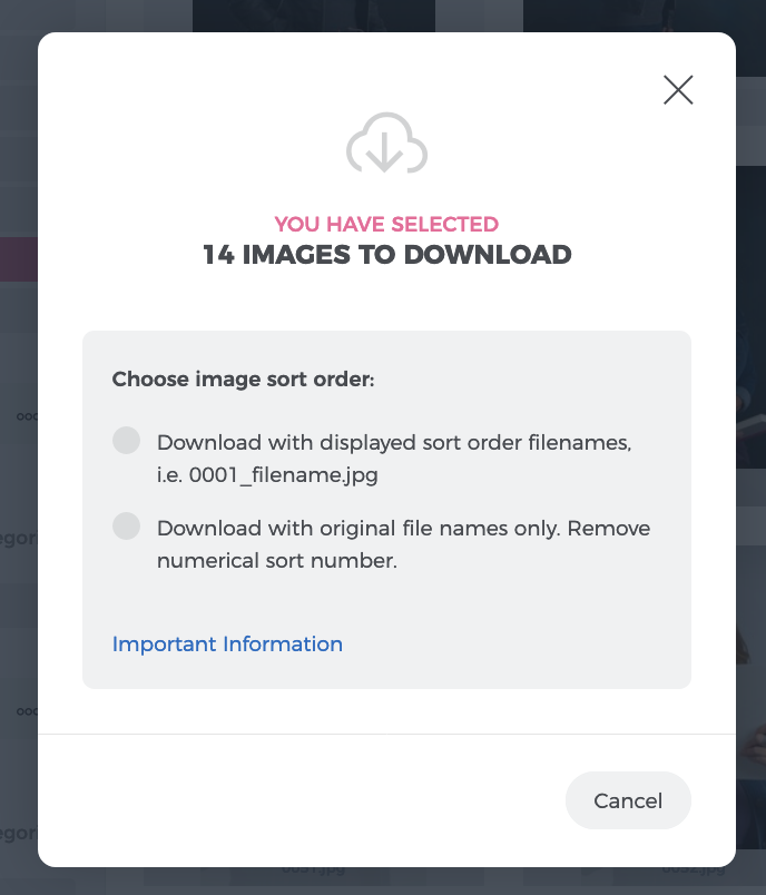 image-3.png